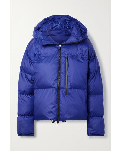 adidas By Stella McCartney Truenature Quilted Padded Recycled-shell Hooded Jacket - Blue