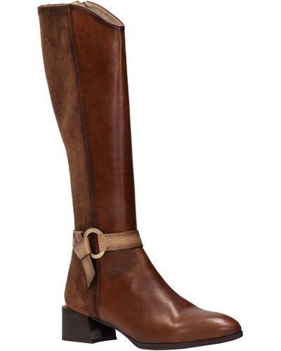 Hispanitas nordstrom 2025