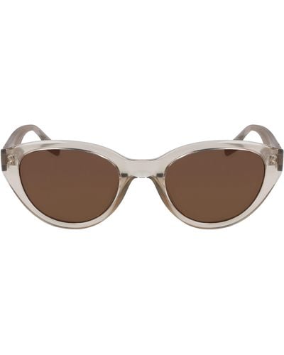Converse Fluidity 52mm Cat Eye Sunglasses - Brown