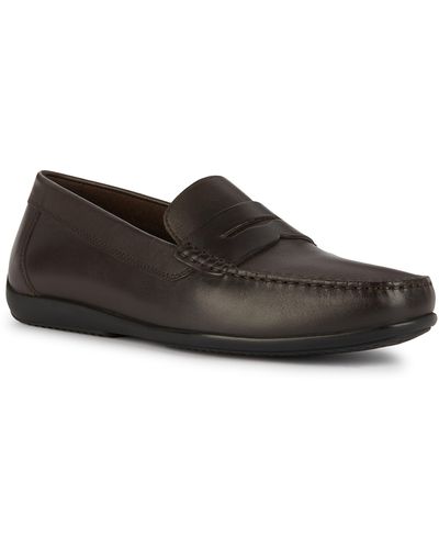 Geox Ascanio Penny Loafer - Brown
