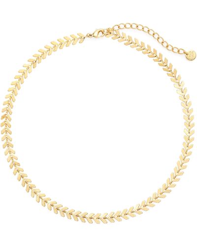 Brook and York Brynn Choker Necklace - White