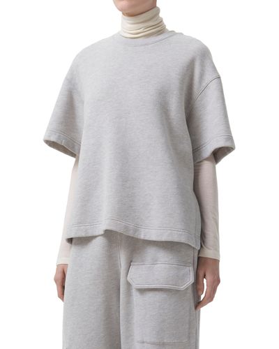 Agolde Ash Short Sleeve Sweatshirt - Gray