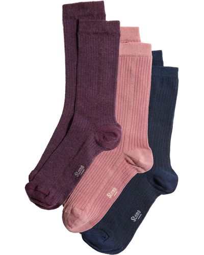Stems Assorted 3-pack Rib Socks - Purple