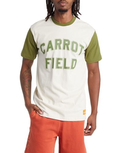 Carrots Carrot Field Colorblock Cotton Graphic T-shirt - Gray