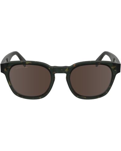 Lacoste Premium Heritage 49mm Rectangular Sunglasses - Brown