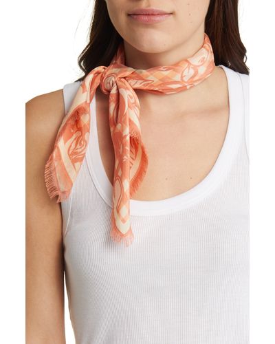 Women's silk hotsell scarves sale