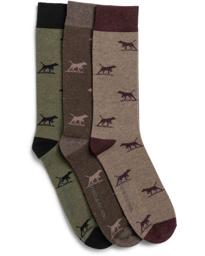 Rodd & Gunn Dogs-a-plenty Assorted 3-pack Cotton Blend Crew Socks - Brown