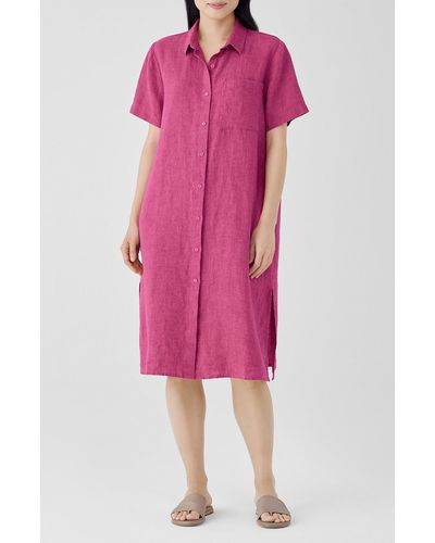 Eileen Fisher Classic Collar Organic Linen Shirtdress - Pink