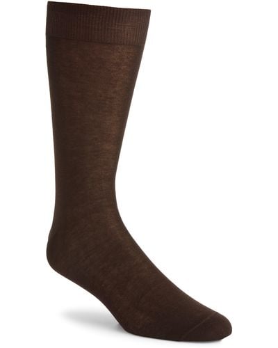 Canali Solid Cotton Dress Socks At Nordstrom - Brown