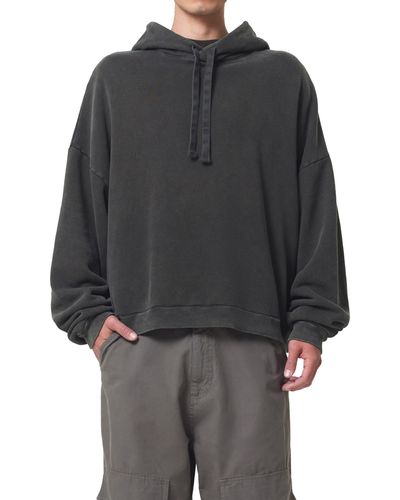 Agolde Dayne Washed Hoodie - Gray
