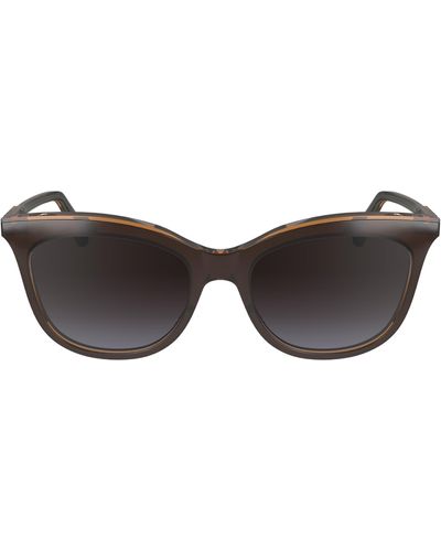 Longchamp 53mm Gradient Cat Eye Sunglasses - Black