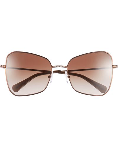 Swarovski 57mm Butterfly Sunglasses - Brown