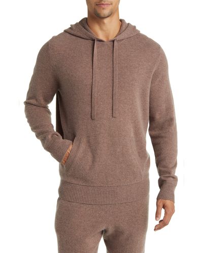 Nordstrom Cashmere Sweater Hoodie - Brown