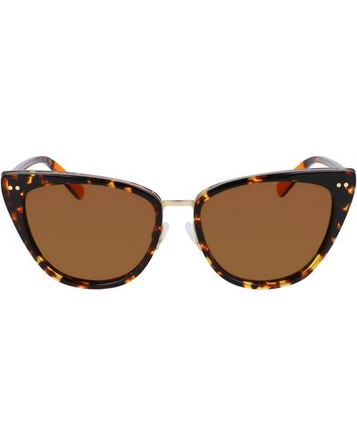 Shinola Runwell 55mm Cat Eye Sunglasses - Brown