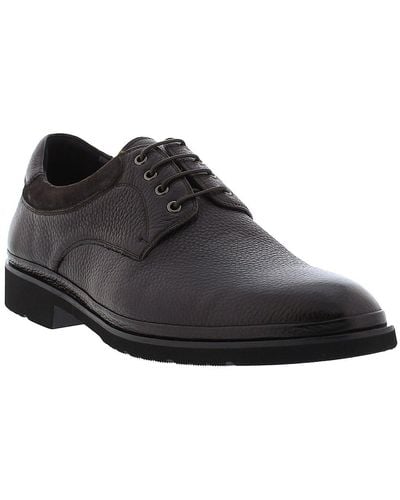 Zanzara Rhys Oxford - Black