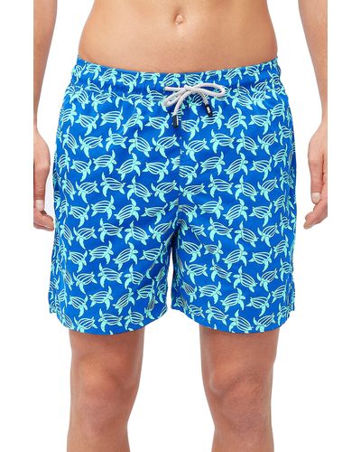 Tom & Teddy Turtle Print Swim Trunks - Blue