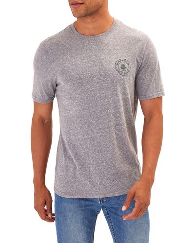 Threads For Thought Pine Grove Graphic T-shirt - Gray