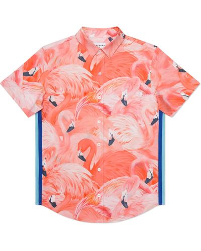MAVRANS Tailored Fit Flamingo Print Waterproof Short Sleeve Performance Button-up Shirt - Pink