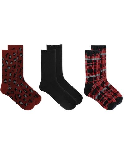 K Bell Socks 3-pack Socks - Multicolor
