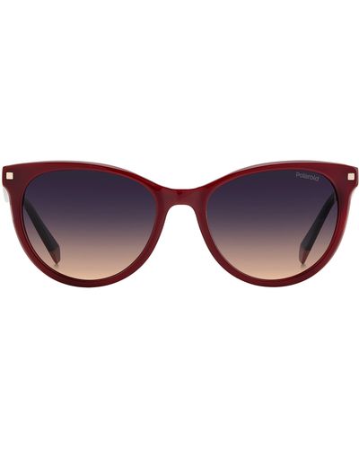 Polaroid 53mm Polarized Round Sunglasses - Purple