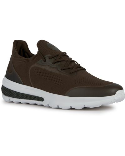 Geox Spherica Sneaker - Brown