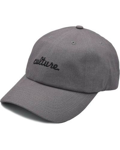 A Life Well Dressed Culture Statement Baseball Cap - Gray