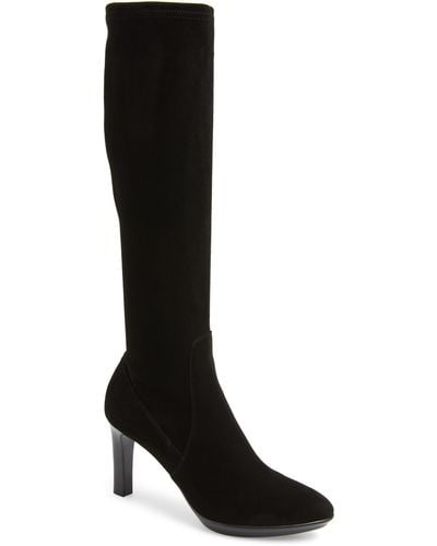 Aquatalia Rhumba Knee-high Suede Boots - Black