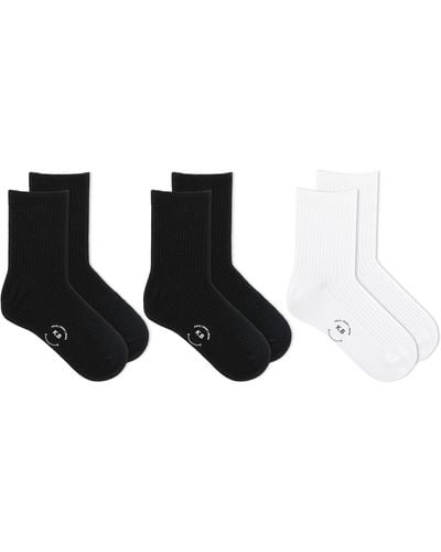 K Bell Socks 3-pack Ribbed Short Crew Socks - Black