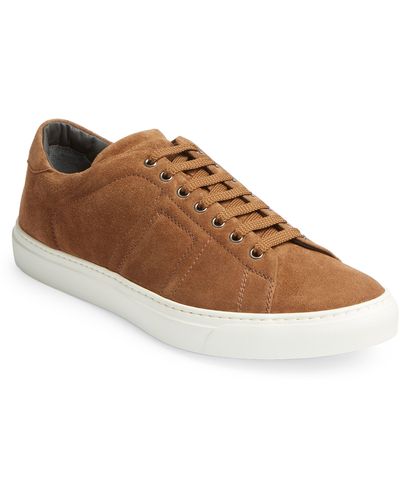 To Boot New York Quintin Sneaker - Brown