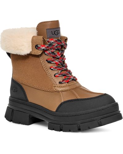 UGG ugg(r) Ashton Addie Waterproof Boot - Brown