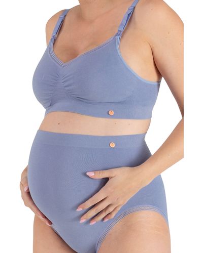 Cache Coeur High Waist Maternity Briefs - Blue