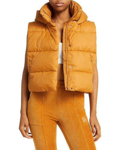 Alo Yoga Gold Rush Hooded Puffer Vest - Orange