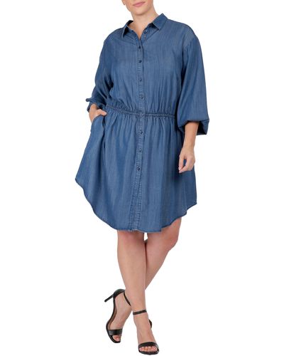 Standards & Practices Long Sleeve Elastic Waist Shirtdress - Blue