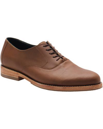 Nisolo Everyday Oxford - Brown