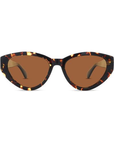 Banbe The Hart Polarized Cat Eye Sunglasses - Brown
