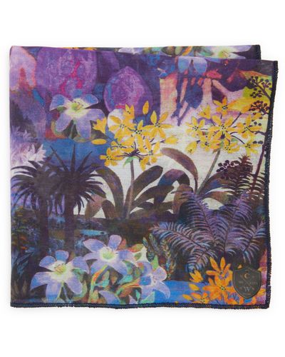 CLIFTON WILSON Floral Cotton Pocket Square At Nordstrom - Purple