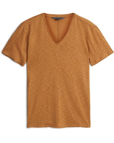 John Varvatos Astor Regular Fit Slub V-neck T-shirt - Brown
