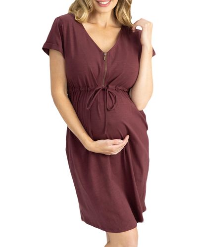 ANGEL MATERNITY Zip Maternity/nursing Dress - Purple