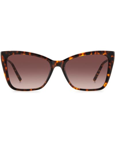 Carolina Herrera 57mm Cat Eye Sunglasses - Brown