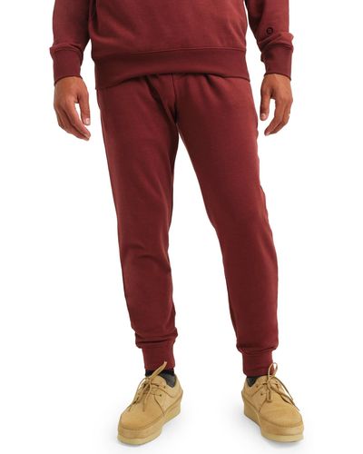 Stance Shelter sweatpants - Red