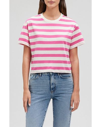 Mavi Stripe Short Sleeve Crop T-shirt - Red