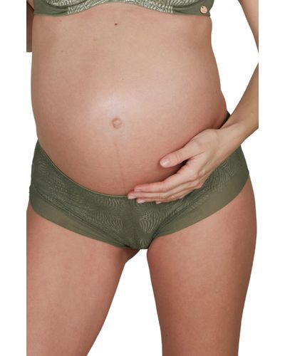 Cache Coeur Dahlia Maternity Briefs - Green