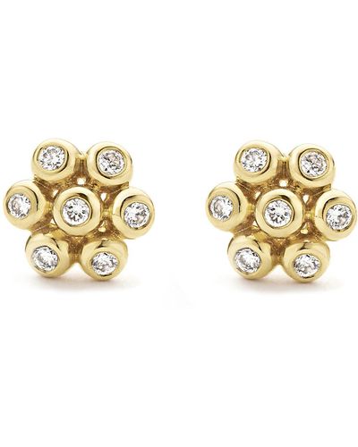 Lagos Ksl Diamond Flower Stud Earrings - Metallic