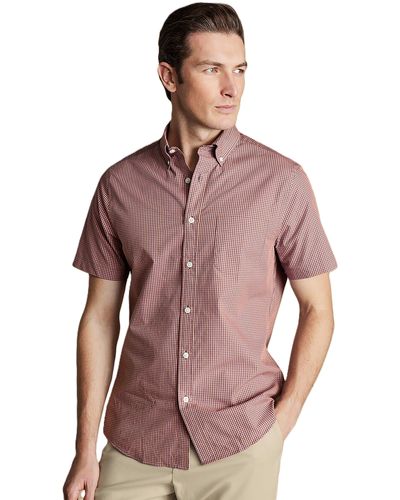 Charles Tyrwhitt Slim Fit Light Button-down Collar Non-iron Stretch Poplin Mini Gingham Short Sleeve Shirt - Purple