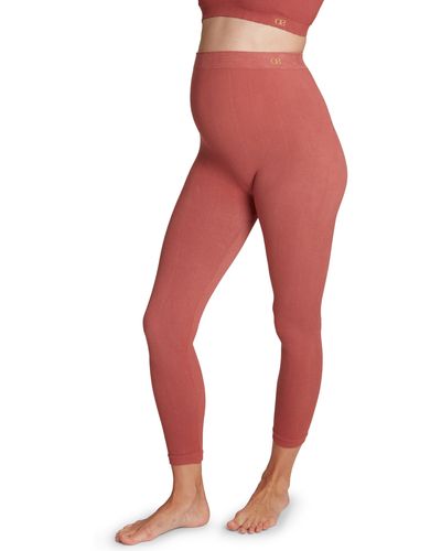 Cache Coeur Zoe Ribbed Crop Maternity leggings - Red