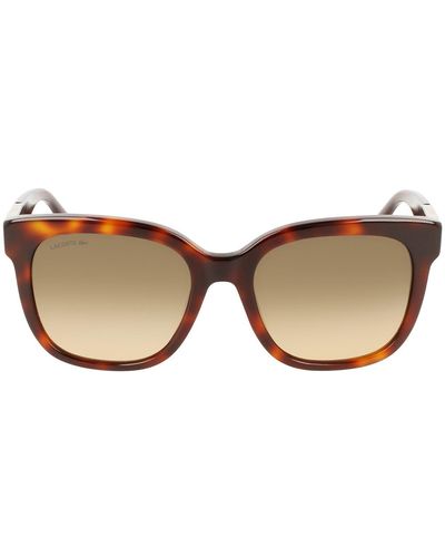 Lacoste 55mm Gradient Rectangular Sunglasses - Natural