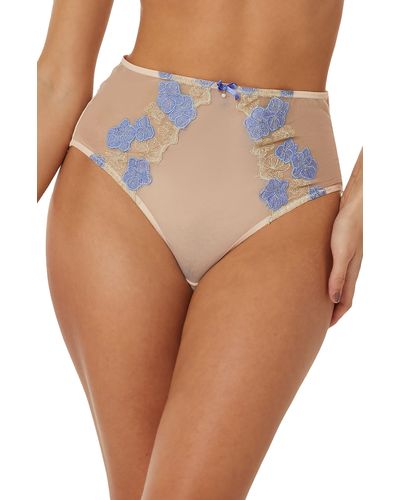 Playful Promises Rayne Embroidered Mesh Briefs - Blue