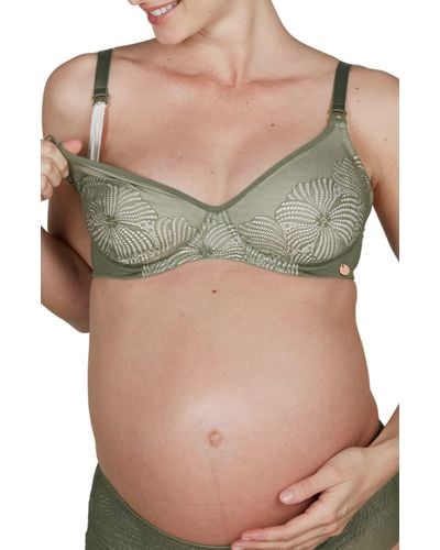 Cache Coeur Dahlia Maternity/nursing Bra - Green