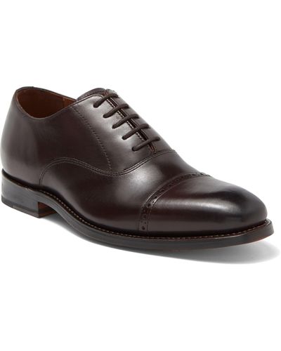 Allen Edmonds Brady Cap Toe Oxford - Brown