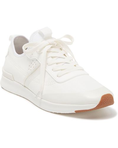 Steve Madden Berlyn Perforated Sneaker - White